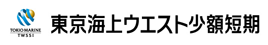 東京海上ウエスト少額短期